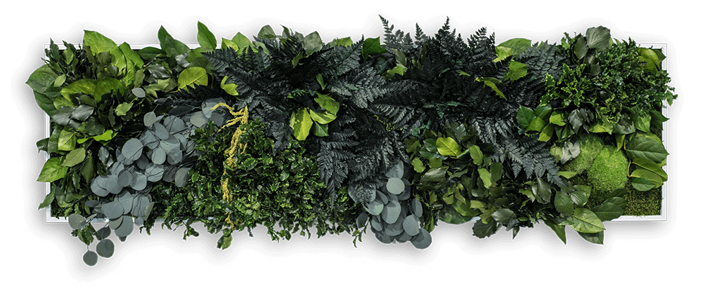 Dschungelbild 140x40cm