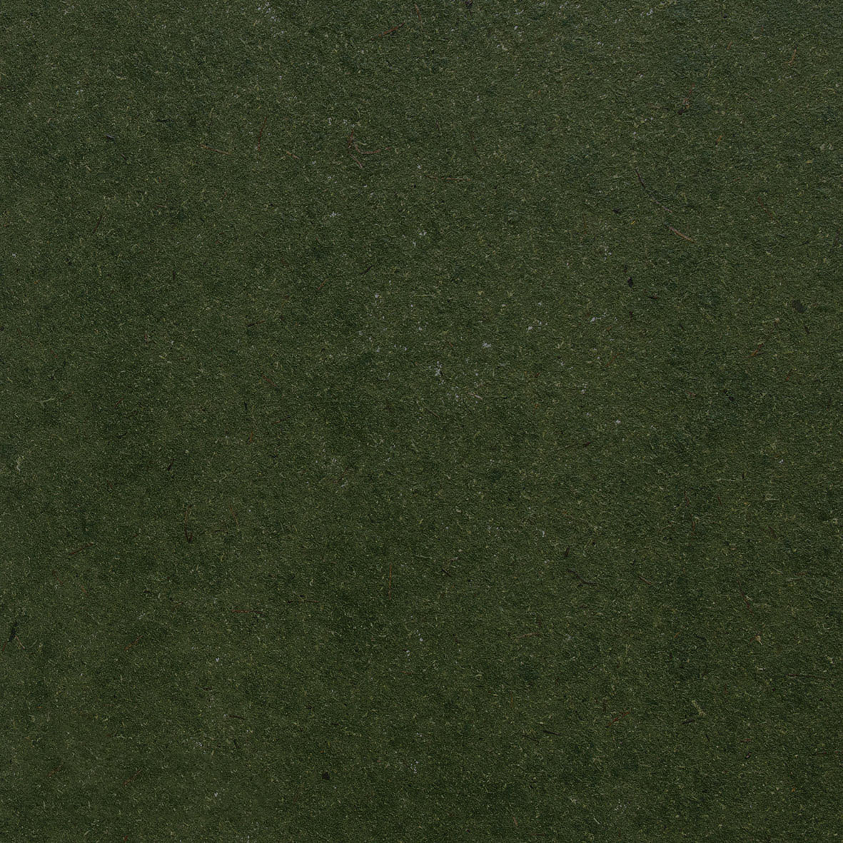 Wildmoos dunkelgrün