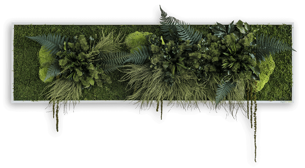 Pflanzenbild 140x40cm