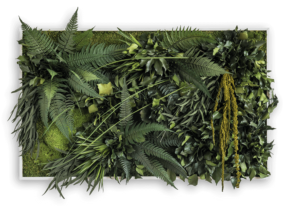 Dschungelbild 100x60cm